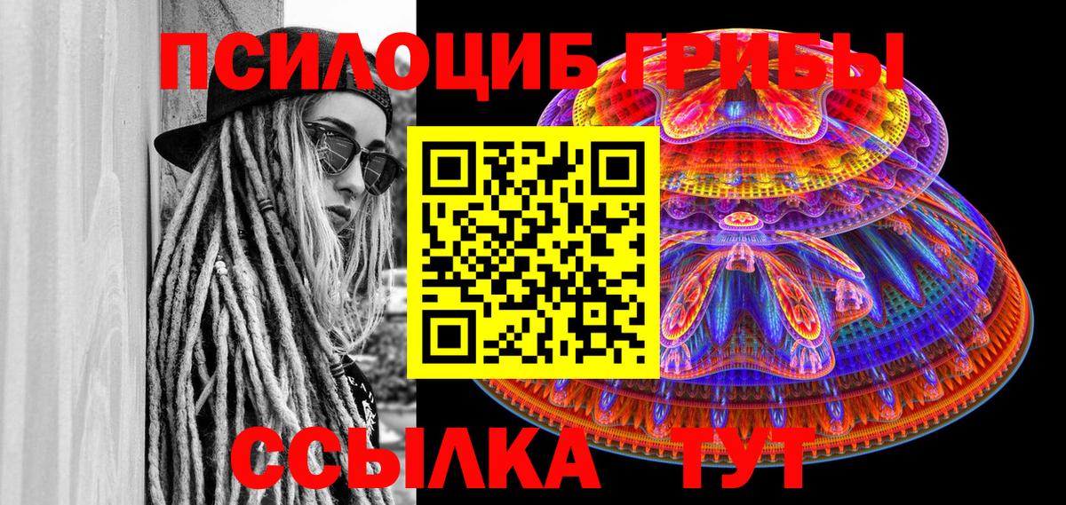 Псилоцибиновые грибы Psilocybine cubensis Старая Купавна