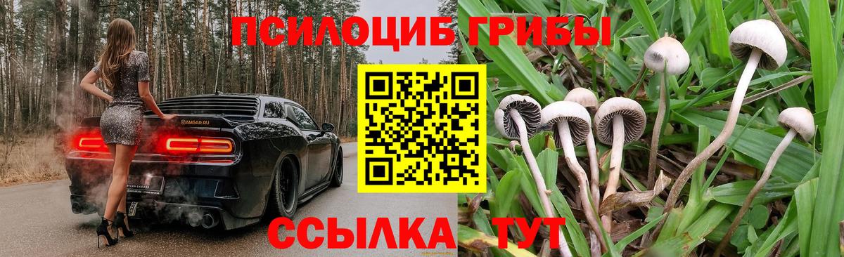 Старая Купавна  Галлюциногенные грибы мухоморы  Вход с VPN 